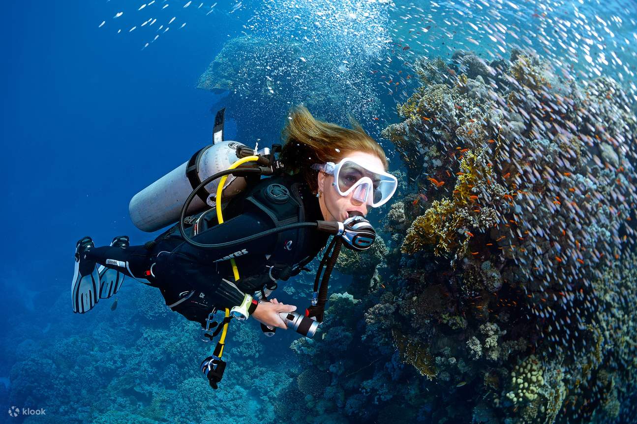 penyelam sedang meneroka di laut